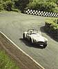 Click image for larger version. 

Name:	ac cobra.jpg 
Views:	305 
Size:	67.4 KB 
ID:	293